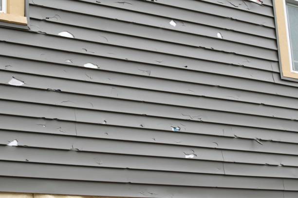 Best Same-Day Junk Removal Services  in Taos, MO
