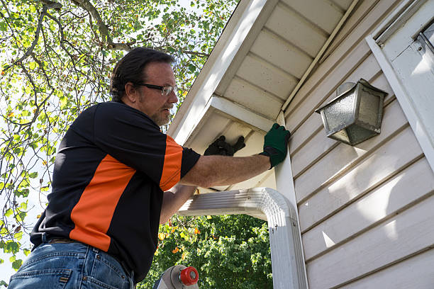 Best Carpet Removal and Disposal  in Taos, MO
